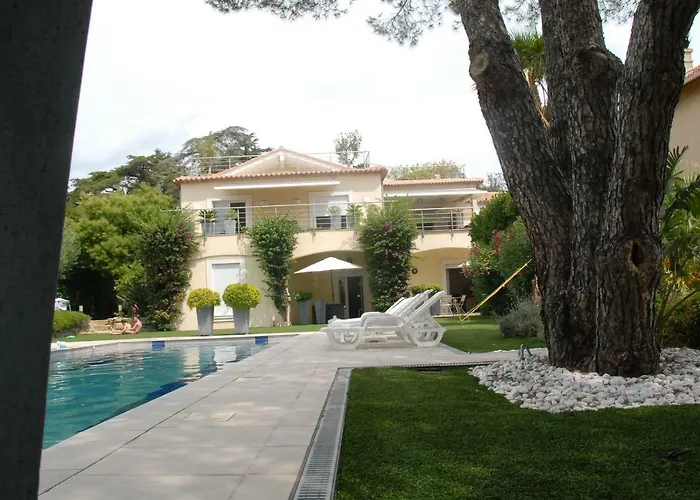 Appartement Maxime 1 Pièce *